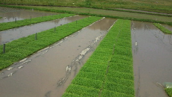 e0175288_9594058.jpg