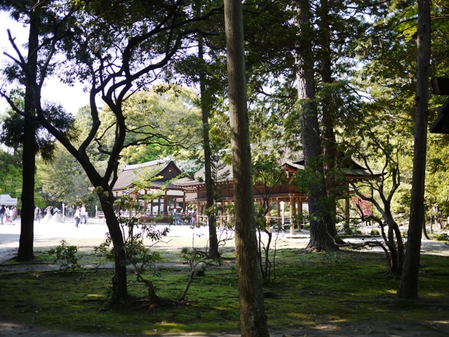 a0127090_19145668.jpg
