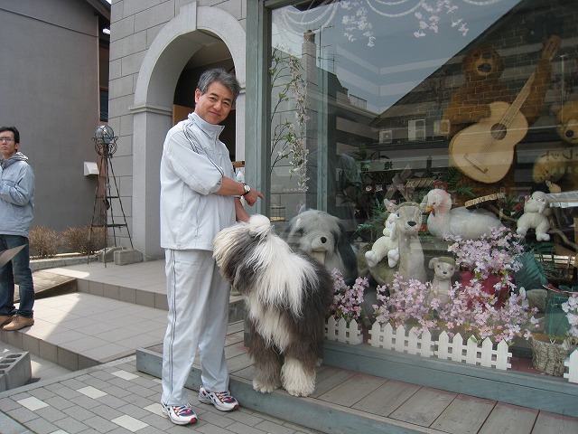 オールドイングリッシュシープドッグ : うさぎ☆小屋