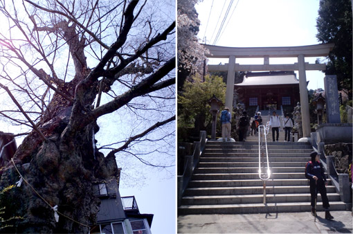 武蔵御嶽神社_b0066893_18451516.jpg