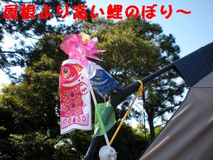 c0188294_9485972.jpg
