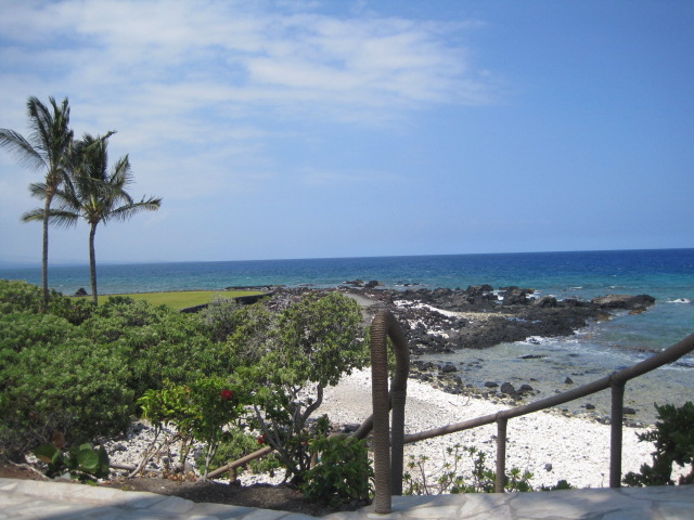 f0209395_1542583.jpg