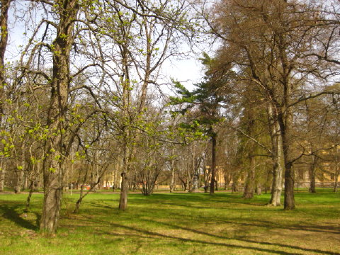 c0180096_5231632.jpg