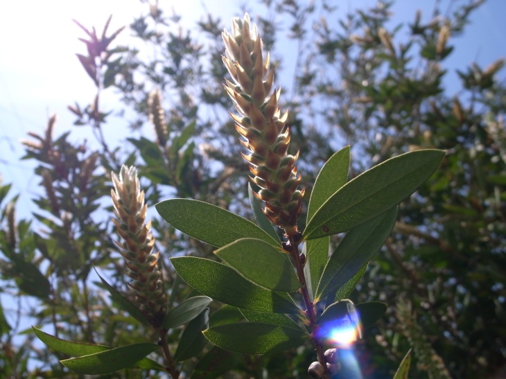 c0167798_12113942.jpg