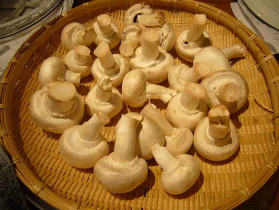 a0116902_2215627.jpg