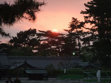 f0120102_21403698.jpg