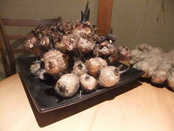 f0120102_2141994.jpg