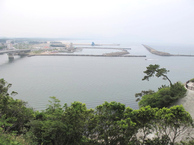 なんじゃもんじゃ満開の岡湊神社_c0036203_1792043.jpg