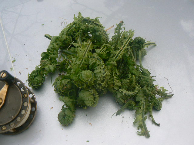 f0164503_16354222.jpg