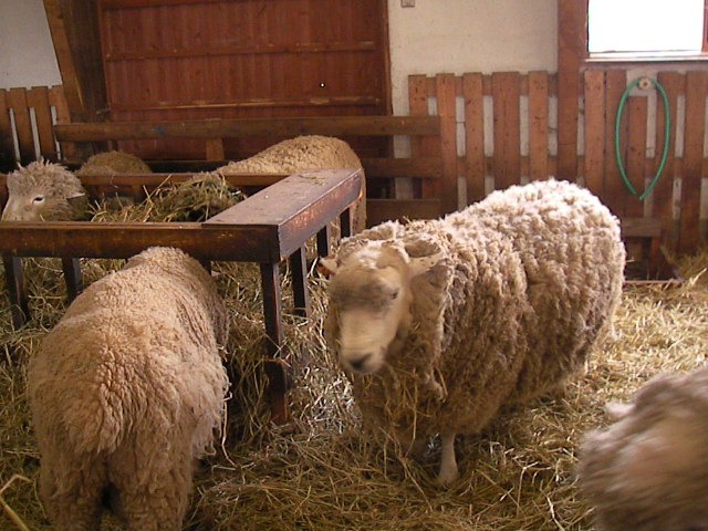 f0038407_16503248.jpg