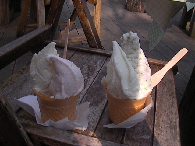 f0038407_17105453.jpg