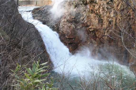 f0038407_173961.jpg