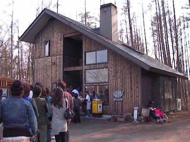 f0038407_1755965.jpg