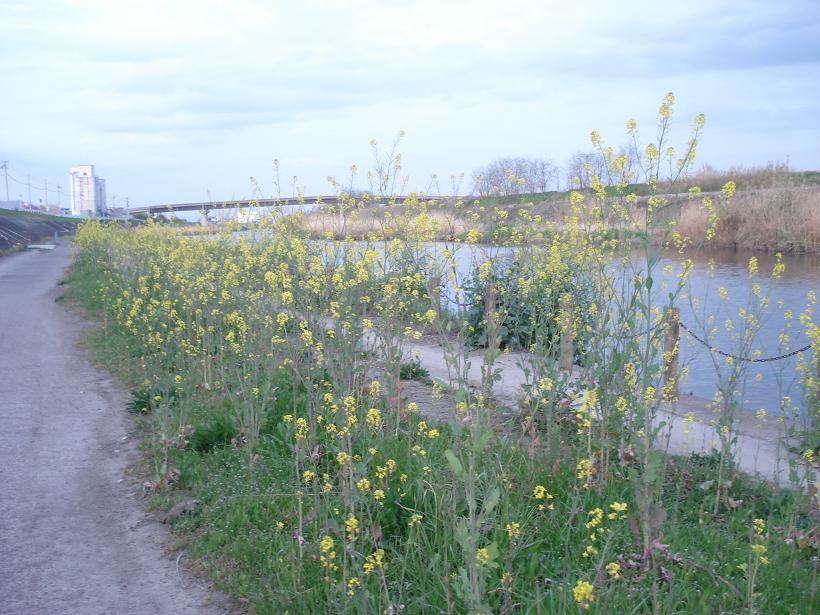 b0118209_13201014.jpg
