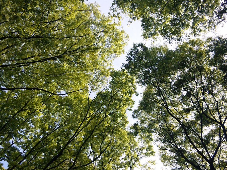 c0003409_15384044.jpg