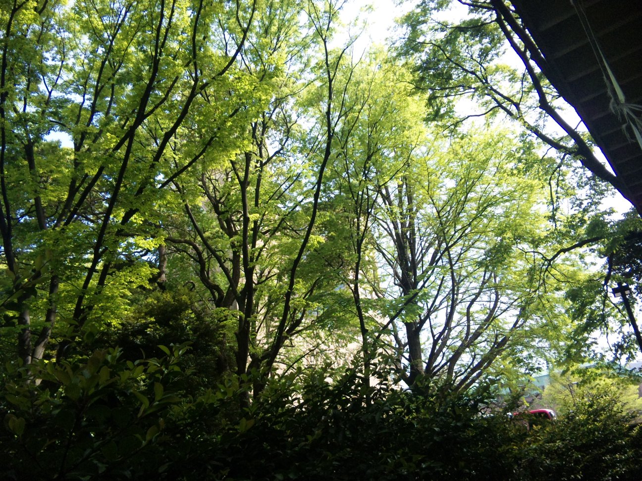 c0003409_15392517.jpg