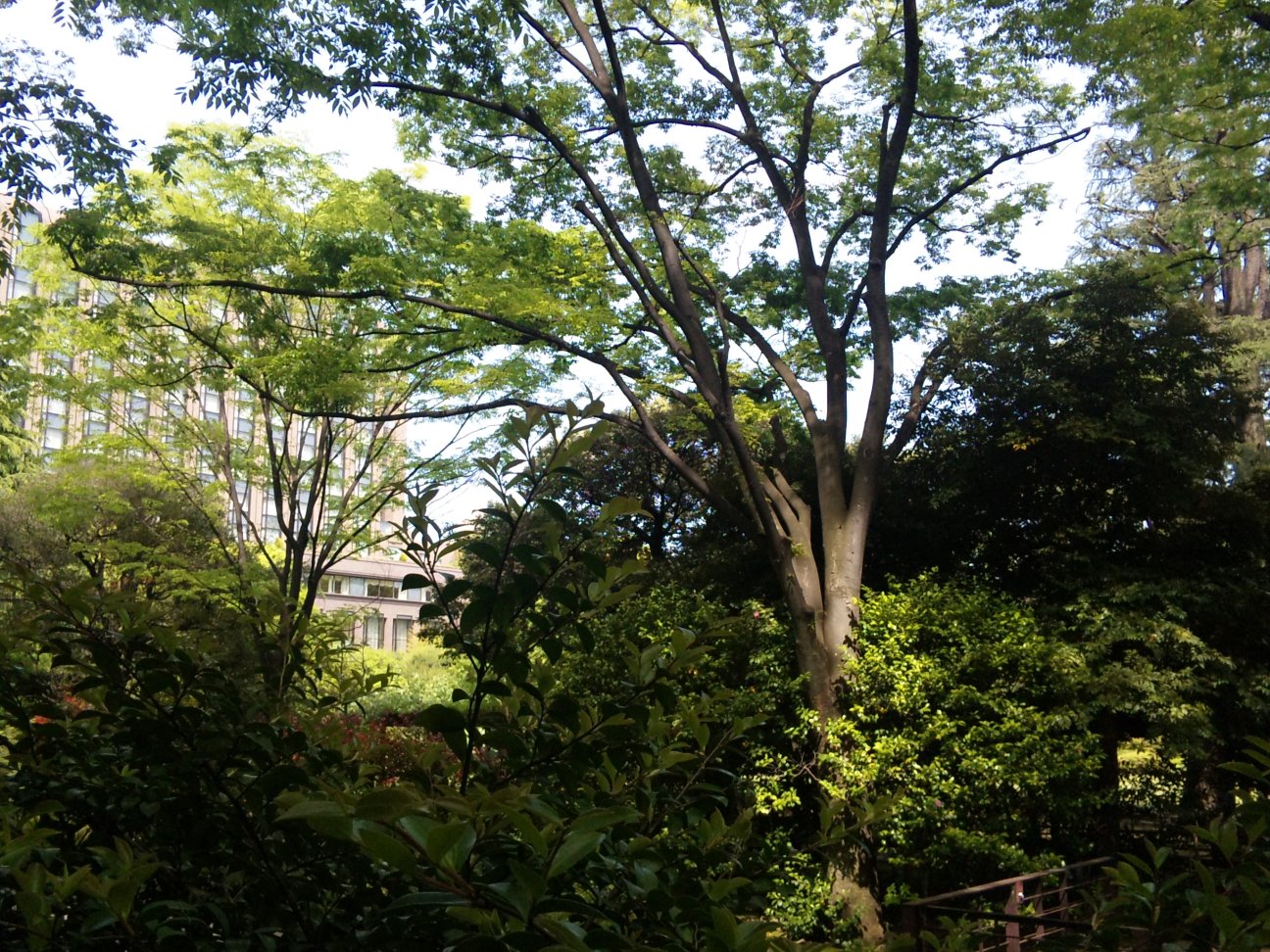 c0003409_15402890.jpg