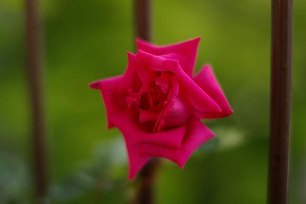 c0147909_23213080.jpg