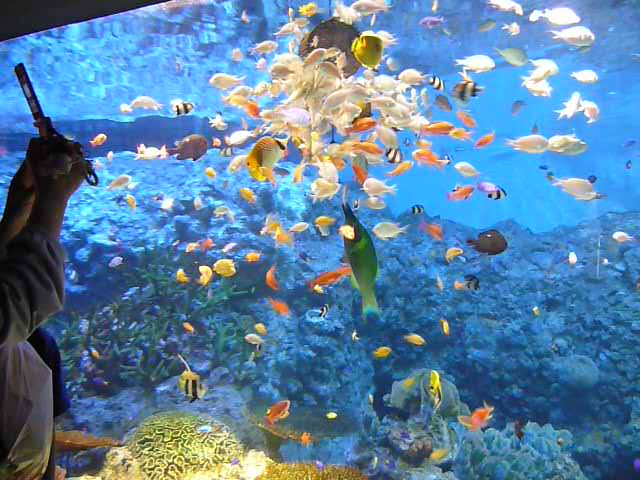 e0061109_23445660.jpg