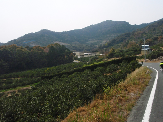 e0066210_2185850.jpg