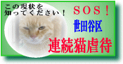 【世田谷連続猫虐待事件】ソラ君亡くなりました（※注意画像多数あり）_e0144012_5262467.gif