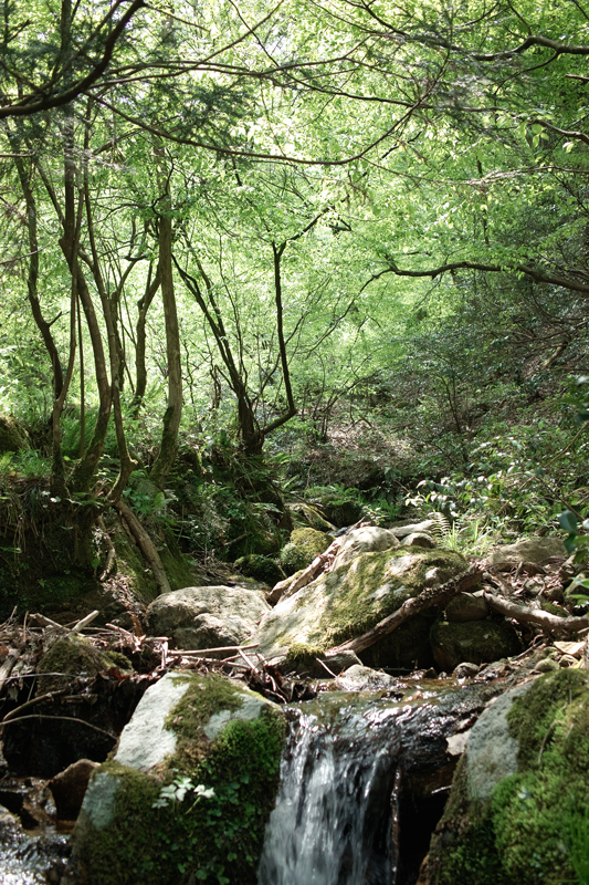 f0235612_7262485.jpg