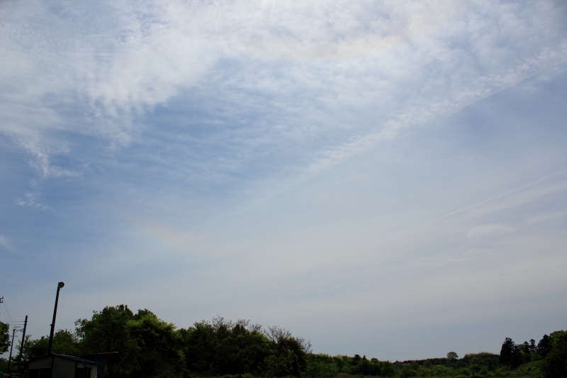 a0030713_175927.jpg