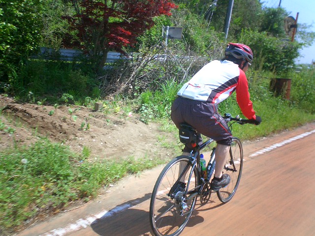 d0106413_8112064.jpg