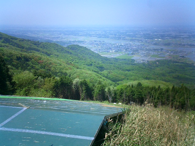 d0106413_895484.jpg