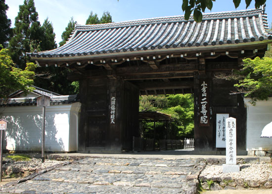 二尊院 新緑_e0048413_22452742.jpg