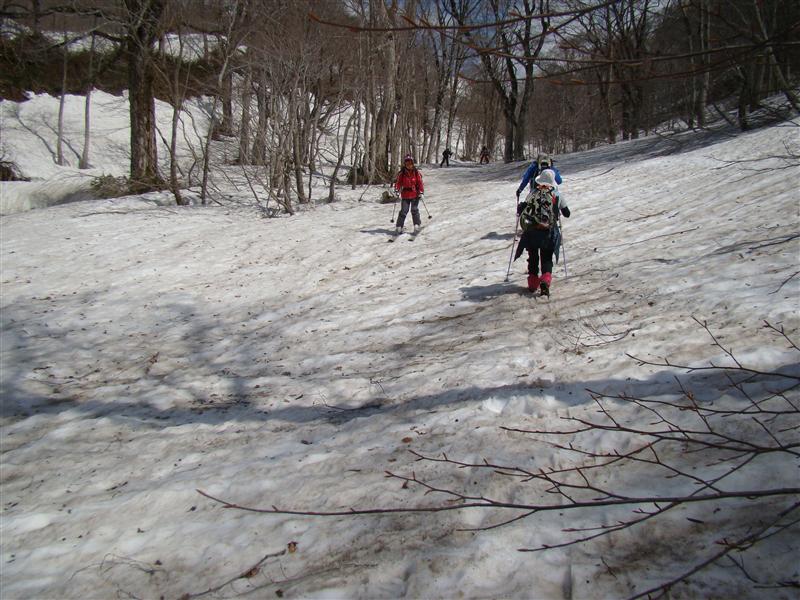 a0127015_2004349.jpg