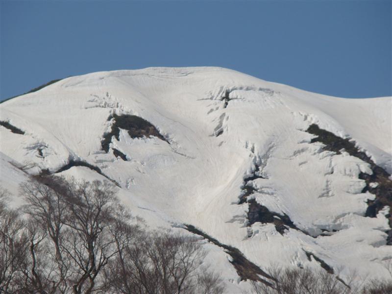 a0127015_20101332.jpg