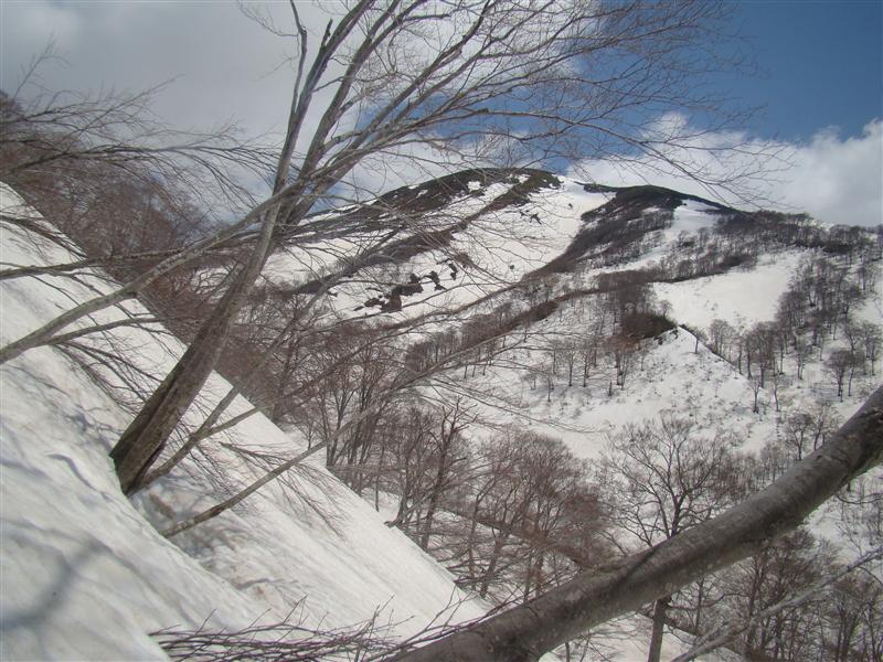 a0127015_2034391.jpg