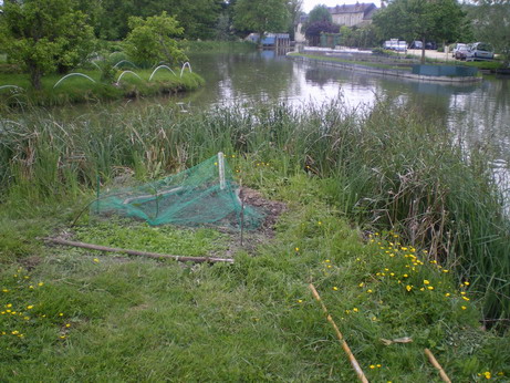 c0124619_4502491.jpg
