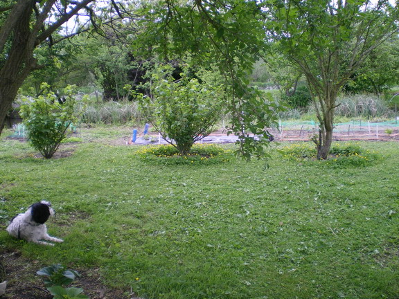 c0124619_4532360.jpg