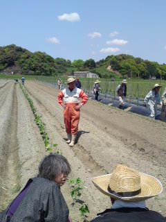 古野農場有機農業会２回目_f0224320_11351559.jpg