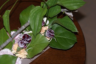 f0170524_20434558.jpg