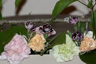 f0170524_2065393.jpg