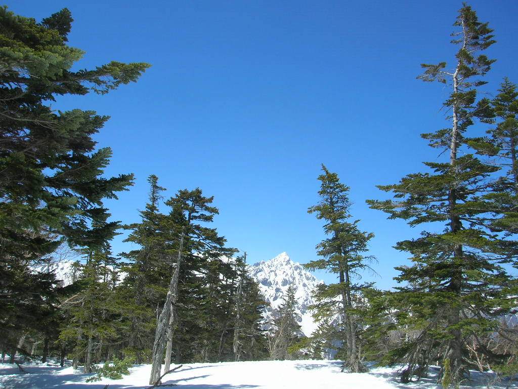 e0038425_16211544.jpg