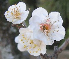 f0213825_20121654.jpg