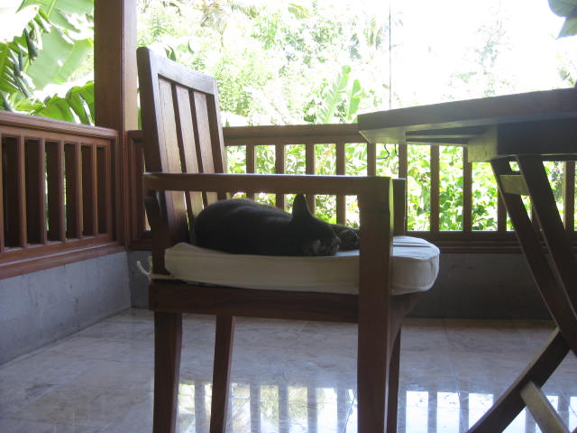 f0234427_1522219.jpg