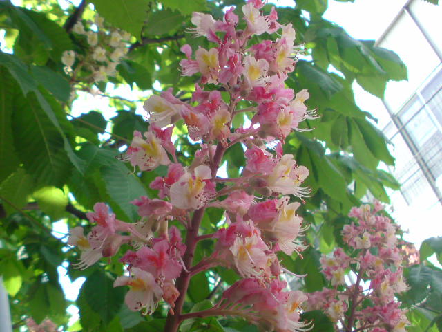 e0016828_12384738.jpg
