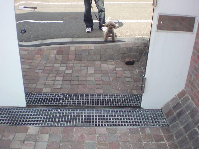 e0016828_1238790.jpg