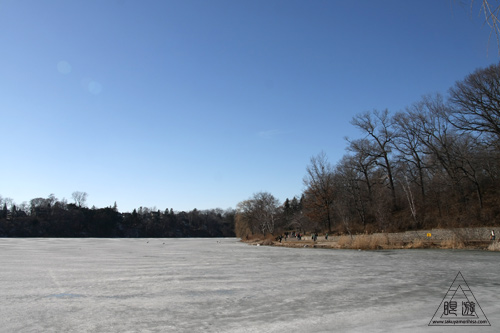 c0211532_811240.jpg