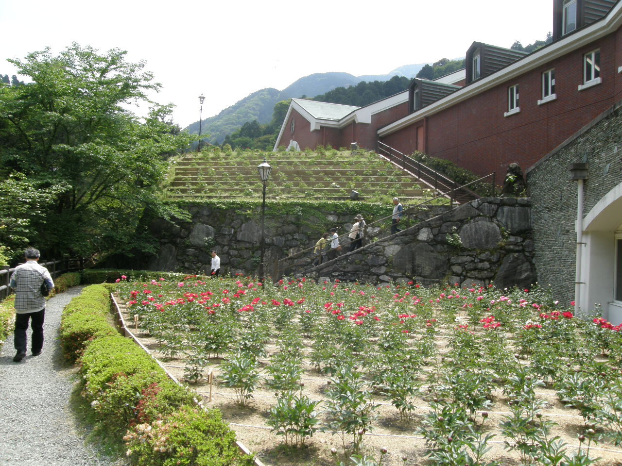 c0141933_22245323.jpg