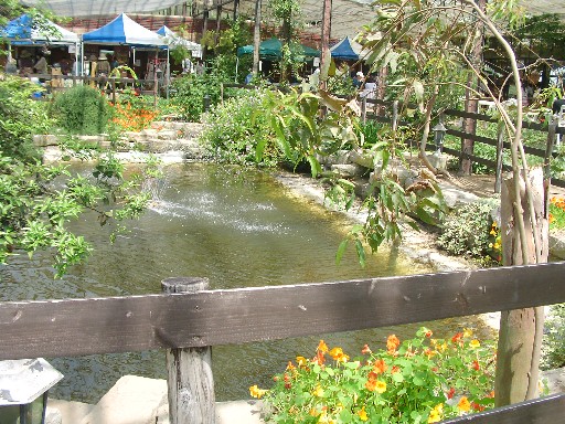 f0002833_12414882.jpg