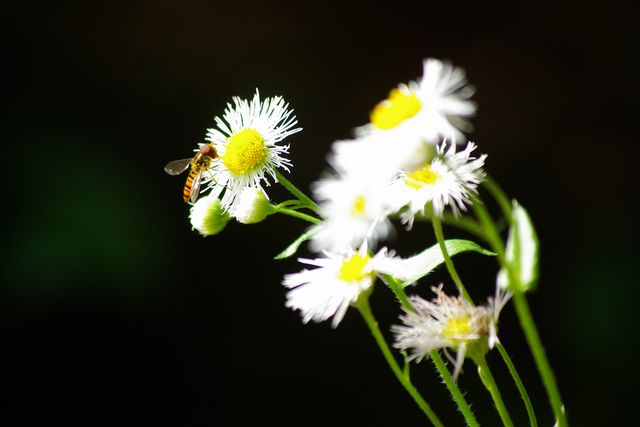 f0145933_0223.jpg