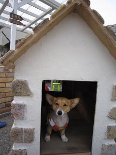 プロヴァンスな犬小屋 古レンガ屋やまぼうし アンティークレンガの小径 プロヴァンスな犬小屋 古レンガ屋やまぼうし アンティークレンガの小径