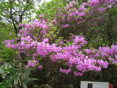 c0077338_23145233.jpg