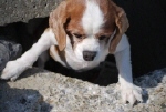 c0136838_17364745.jpg